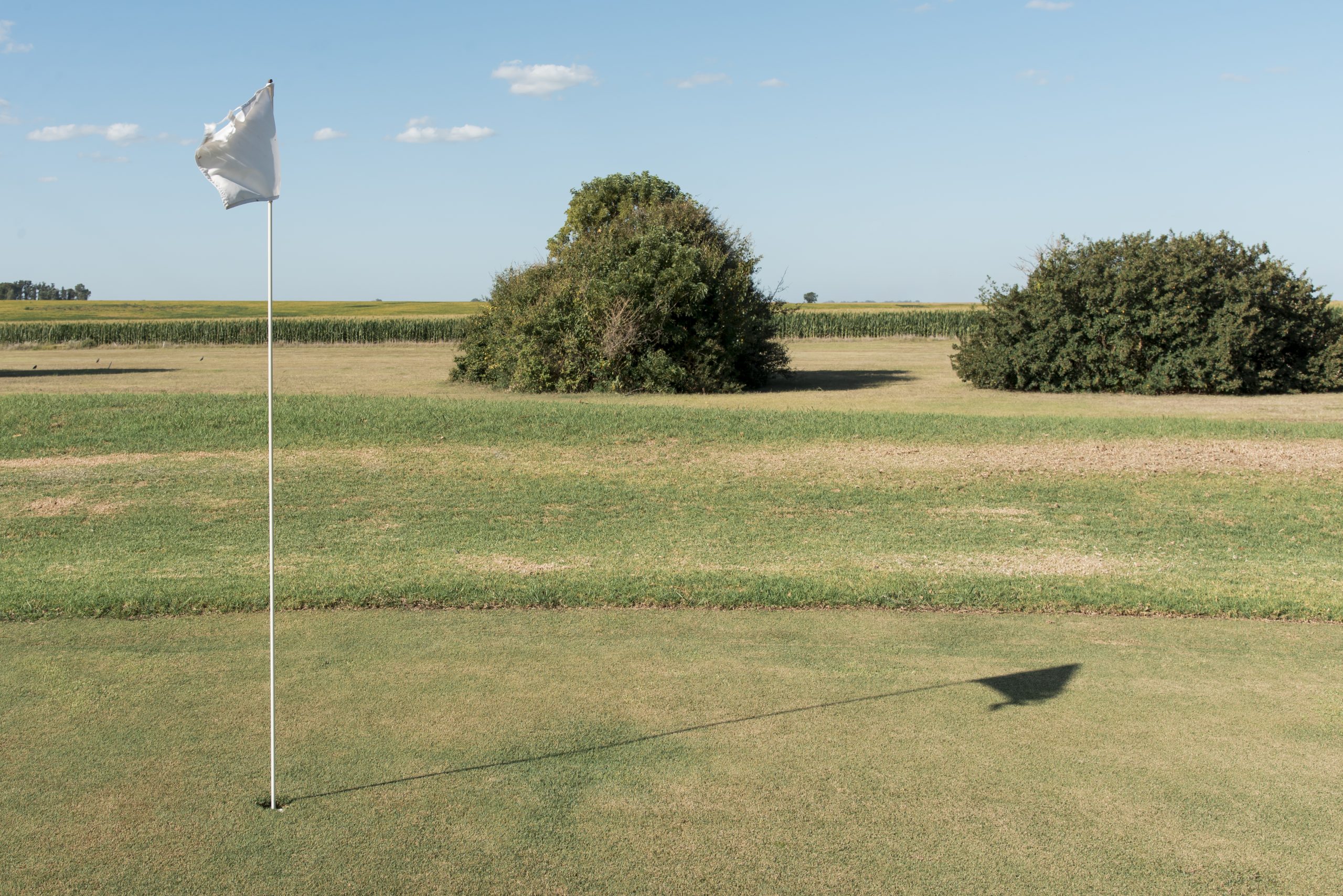 Coastal Courses Reimagined – Top Golf Course Architects & Design Companies Master Wind and Salt