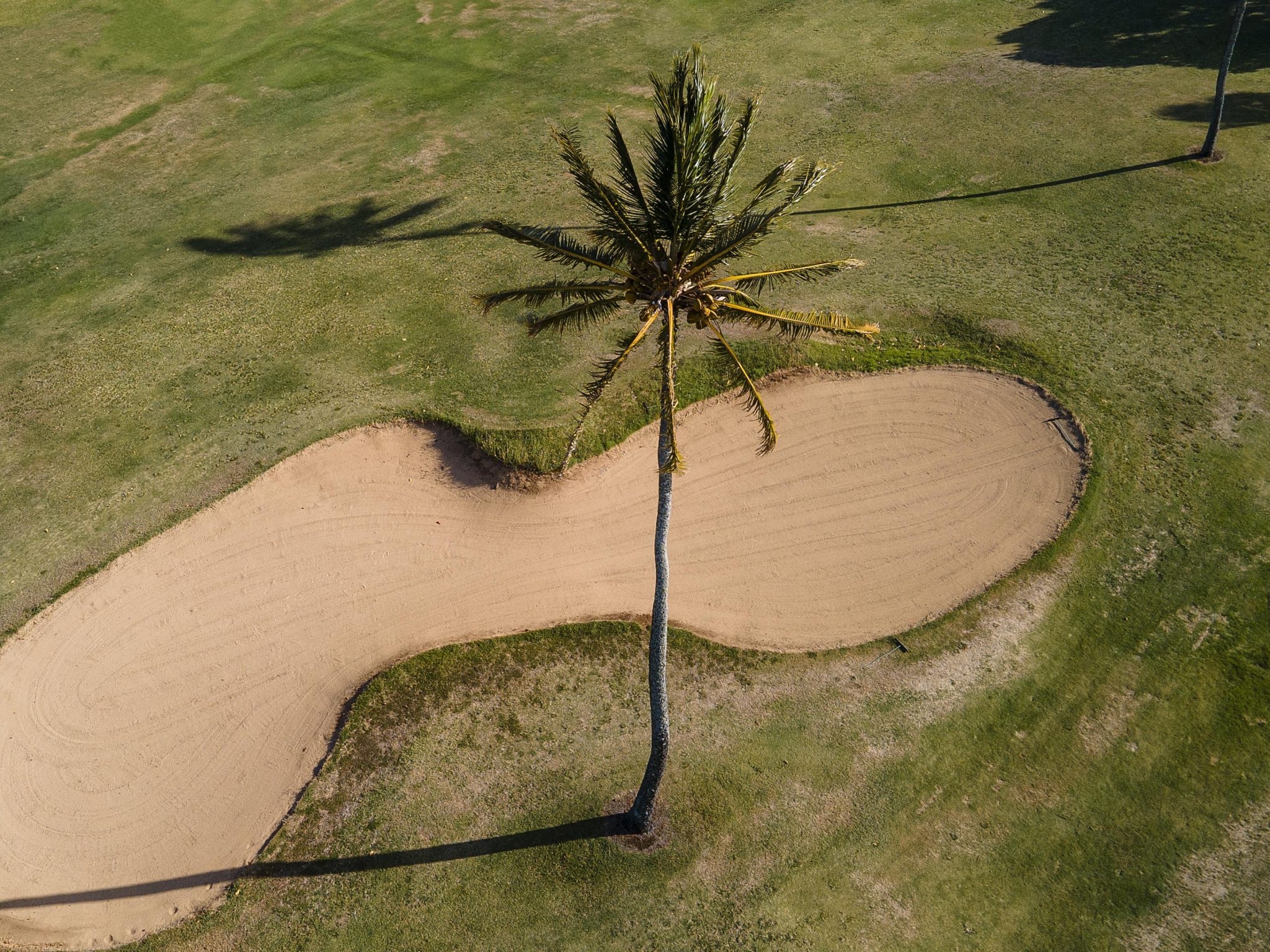 Native Rough Golf Course Native Landforms & Lasting Greens by Top Golf Design Architect