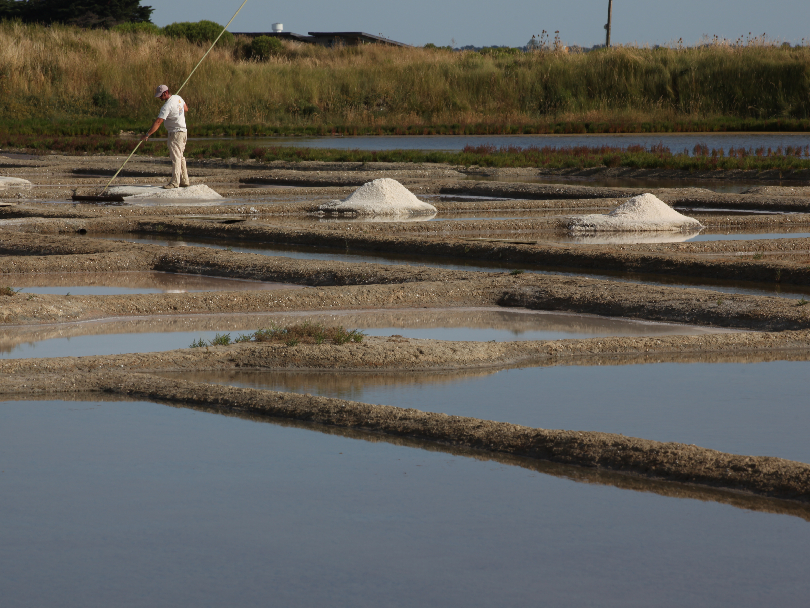 Water security 2027 – advanced desalination and harvesting for arid courses